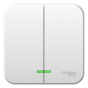 Выключатель 2-кл 10А О/У с индикатором изолирующая пластина Белый Blanca