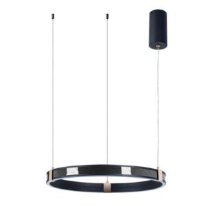 Подвесная люстра Shine A2222SP-1BK Arte Lamp