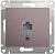 Розетка RJ45 кат.5Е С/У Платина Glossa