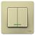Выключатель 2-кл 10А С/У с индикатором Бежевый Blanca